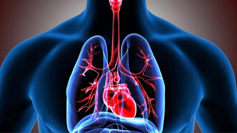 The Link Between Heart and Lung Disease: What You Need to Know
