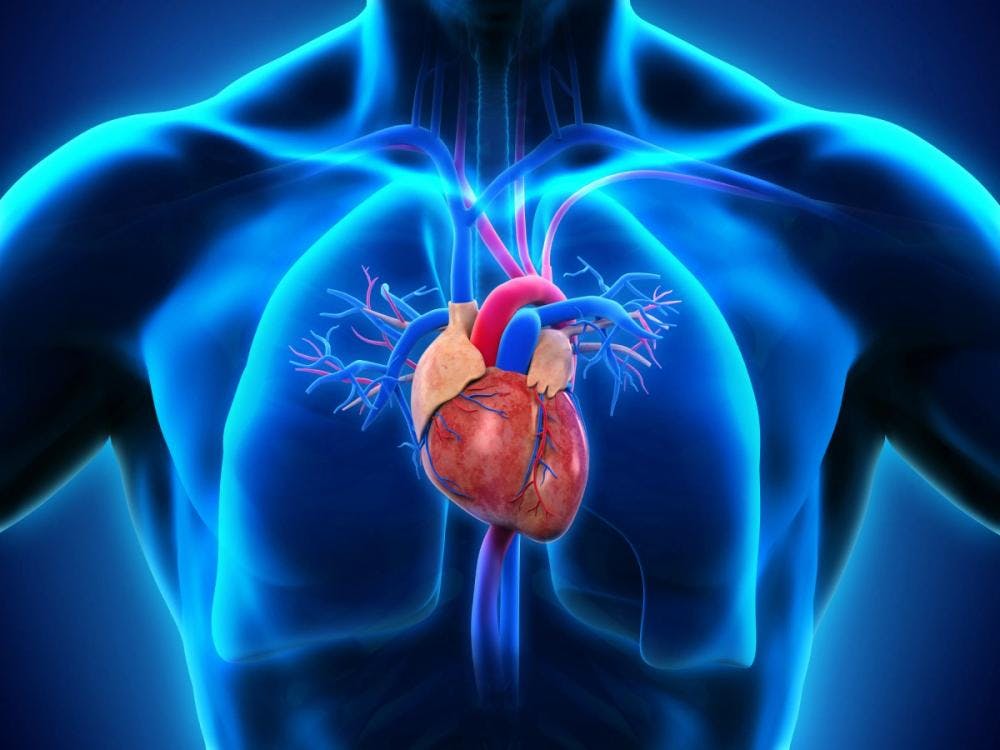 The Latest Advances in Treating Heart and Lung Diseases