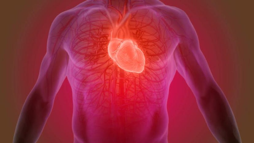 Understanding the Link Between Diet and Cardiovascular Health